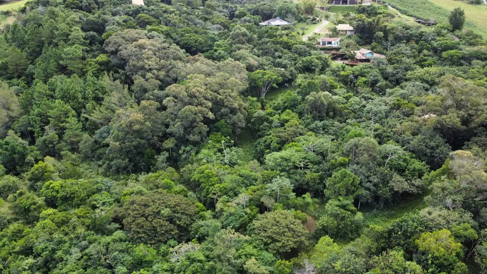 Terreno, 1500 m² - Foto 8
