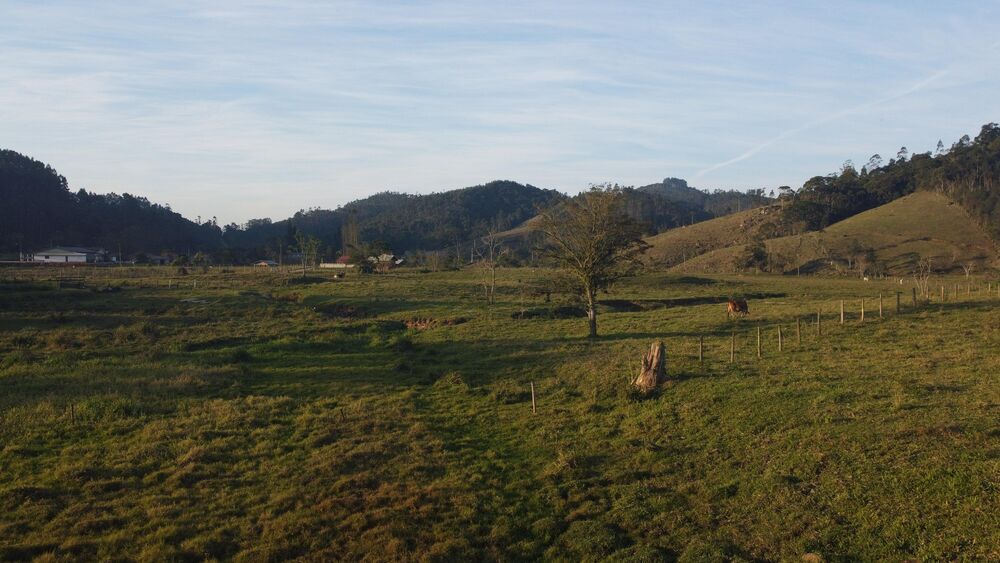 Terreno à venda, 250000m² - Foto 3