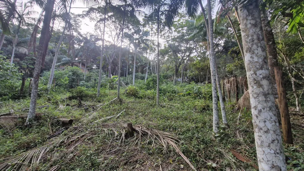 Terreno, 630 m² - Foto 7