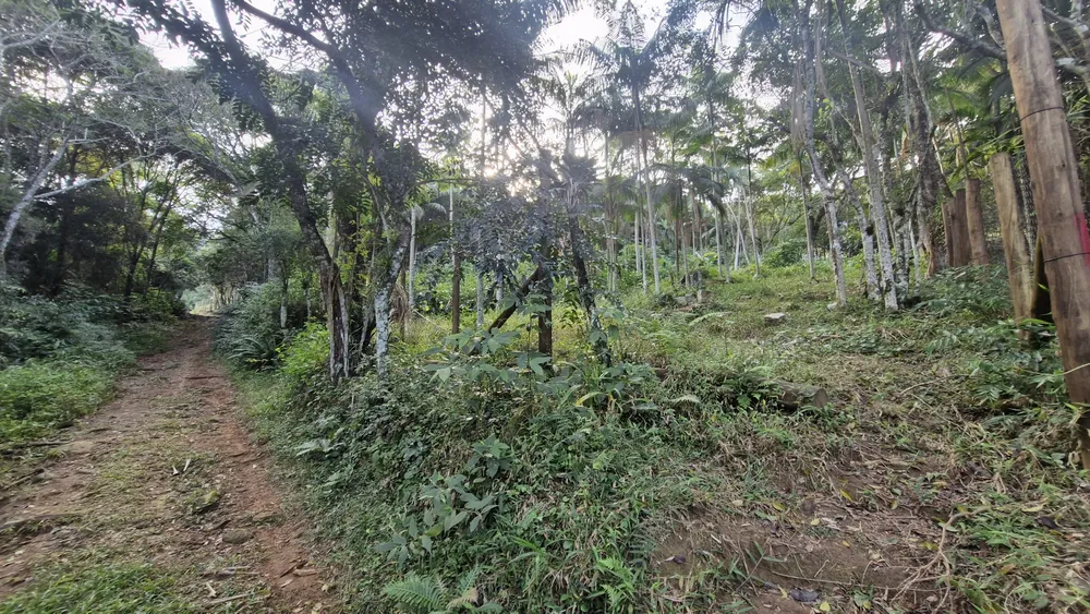 Terreno, 630 m² - Foto 6