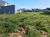 Terreno, 335 m² - Foto 3