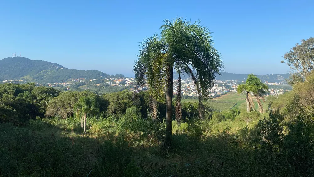 Terreno à venda, 61000m² - Foto 8