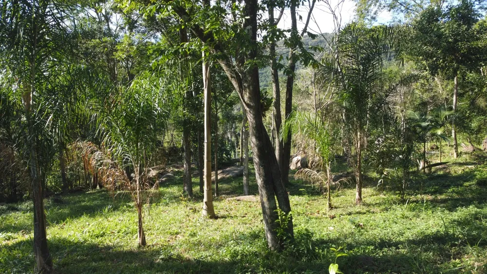 Terreno, 2 hectares - Foto 15