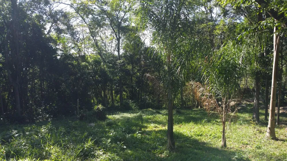 Terreno, 2 hectares - Foto 16