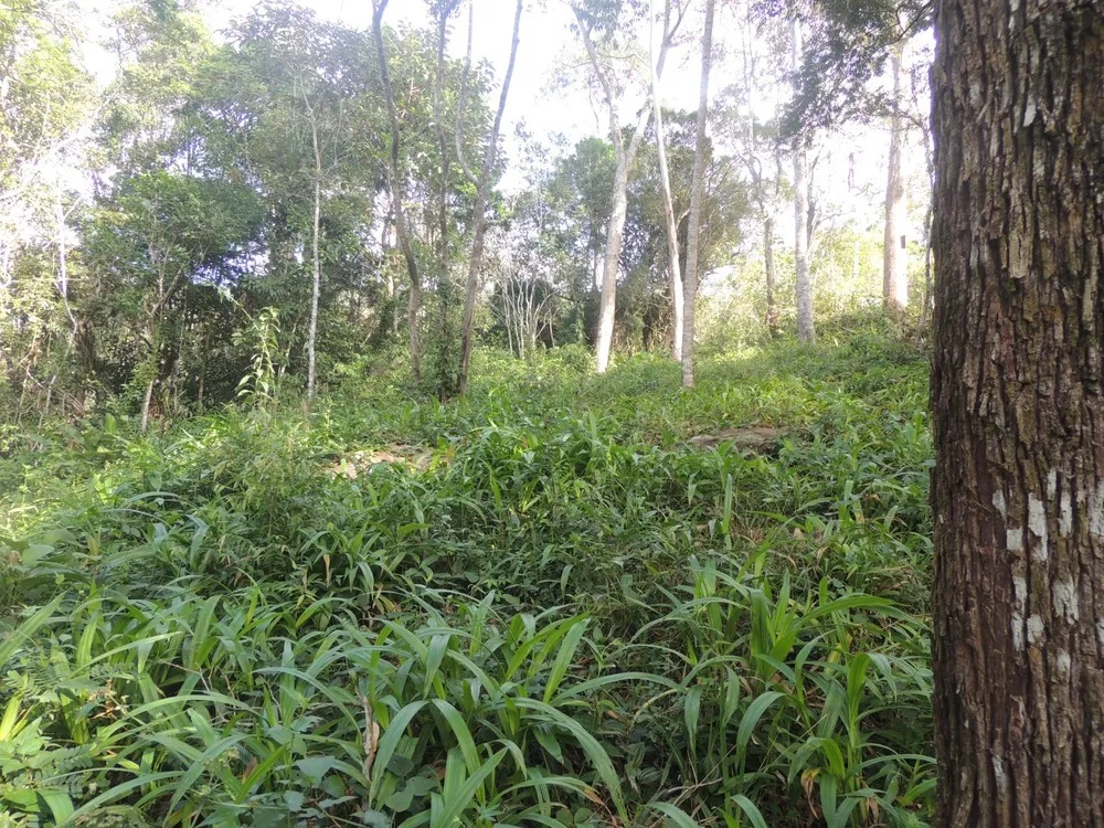 Terreno, 2 hectares - Foto 11