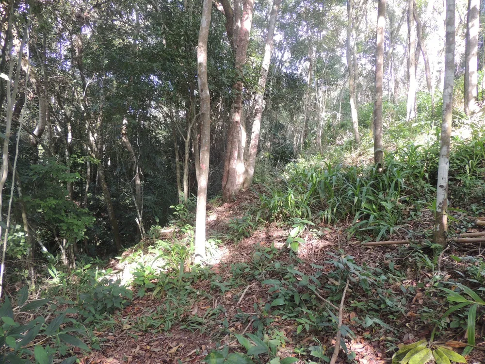Terreno, 2 hectares - Foto 12