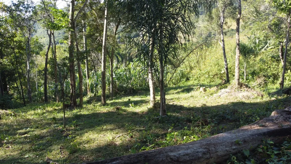 Terreno, 2 hectares - Foto 8