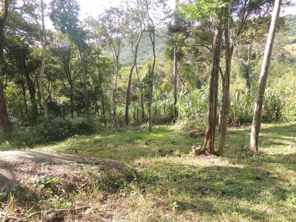 Terreno, 2 hectares - Foto 4