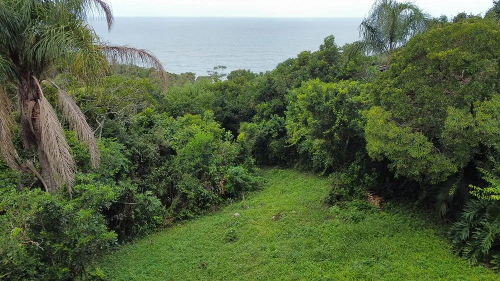 Terreno, 3717 m² - Foto 4