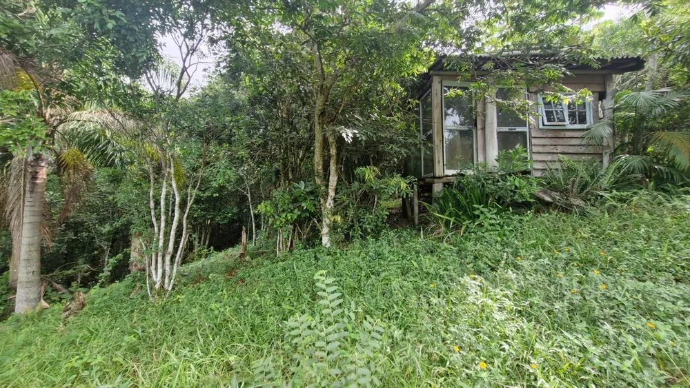 Terreno, 3717 m² - Foto 6