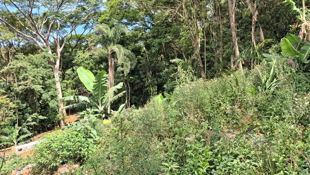 Terreno, 360 m² - Foto 2