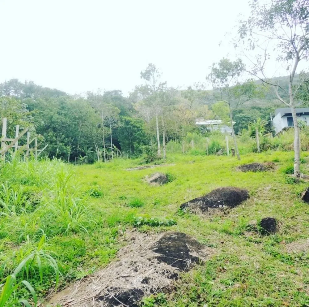 Terreno, 2000 m² - Foto 8