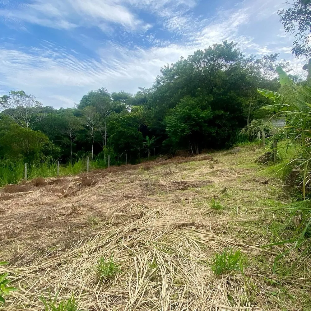 Terreno, 2000 m² - Foto 3