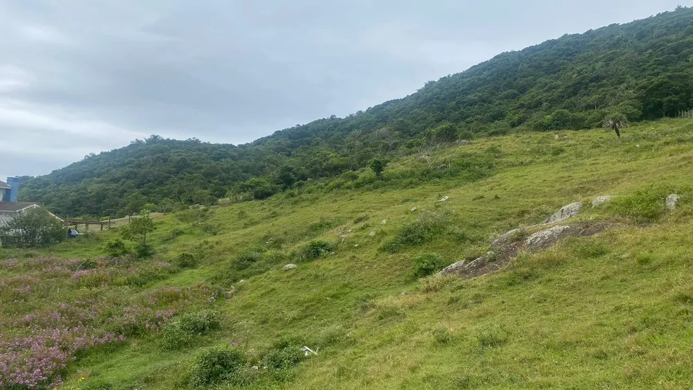 Terreno, 1550 m² - Foto 4