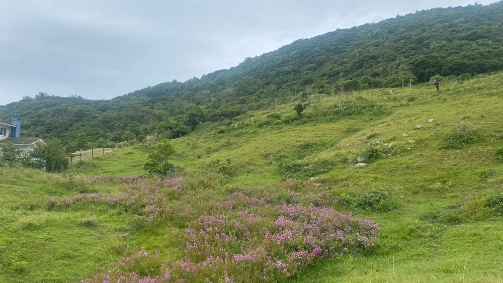 Terreno, 1550 m² - Foto 5
