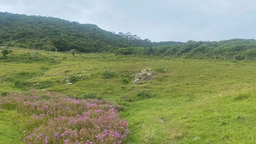 Terreno, 1550 m² - Foto 6