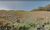 Terreno, 1550 m² - Foto 4