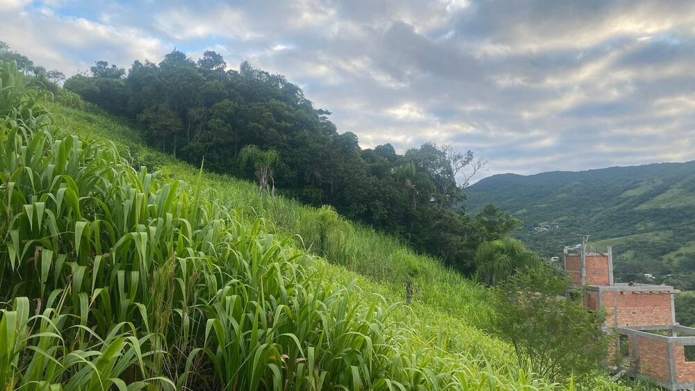 Terreno, 1000 m² - Foto 11