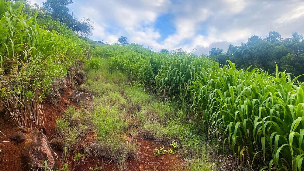 Terreno, 1000 m² - Foto 21