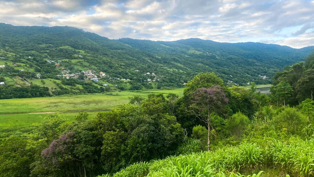 Terreno, 1000 m² - Foto 12