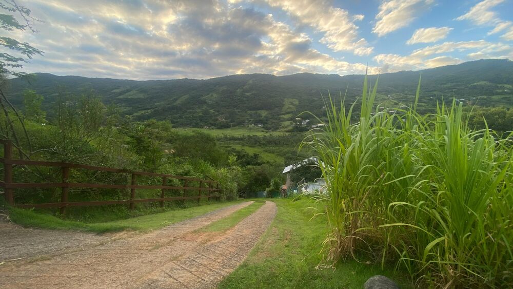 Terreno, 1000 m² - Foto 16