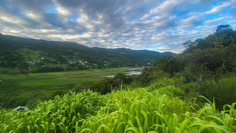 Terreno, 1000 m² - Foto 1