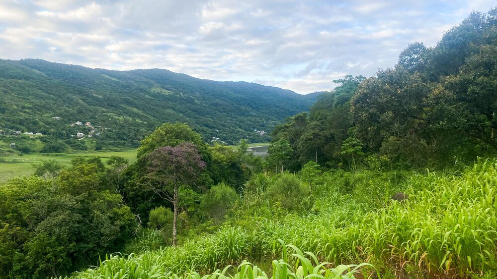 Terreno, 1000 m² - Foto 26