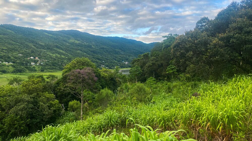 Terreno, 1000 m² - Foto 9