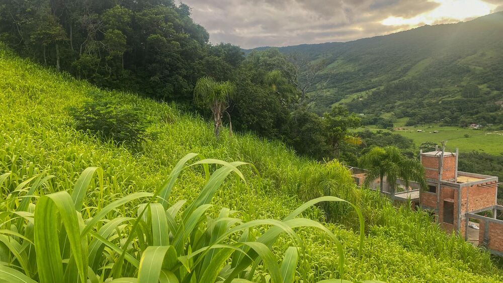 Terreno, 1000 m² - Foto 3