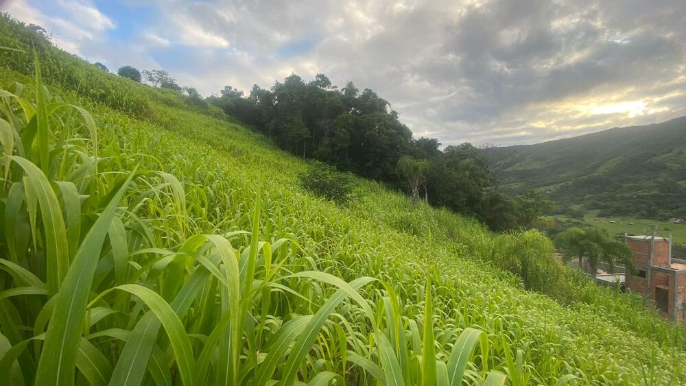 Terreno, 1000 m² - Foto 5