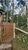 Casa, 4 quartos, 170 m² - Foto 11