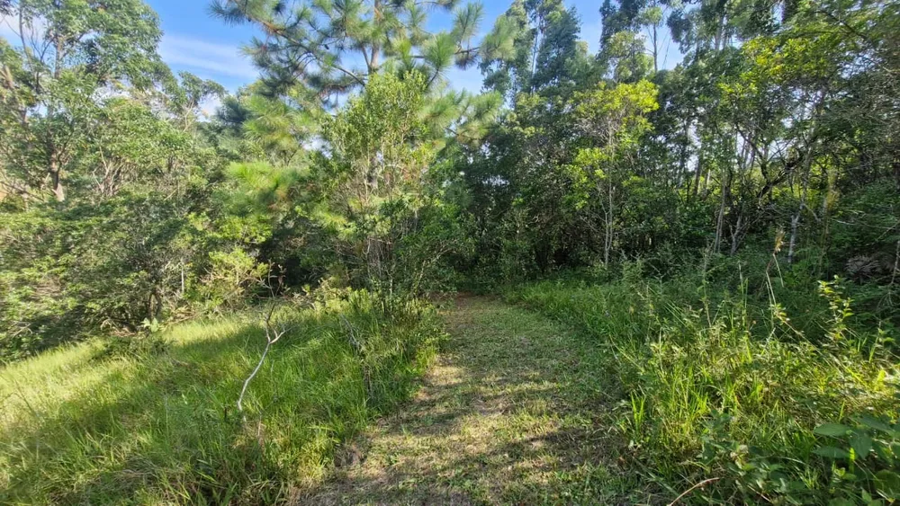 Terreno, 7000 m² - Foto 6