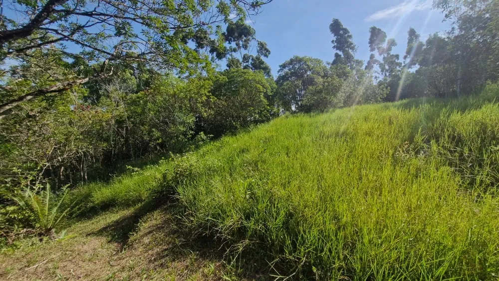 Terreno, 7000 m² - Foto 4