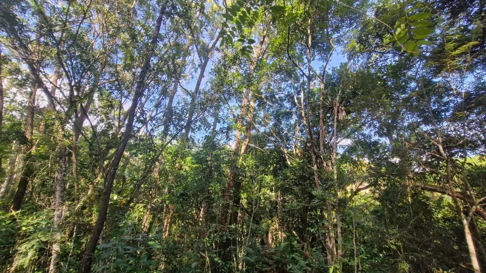 Terreno, 7000 m² - Foto 7