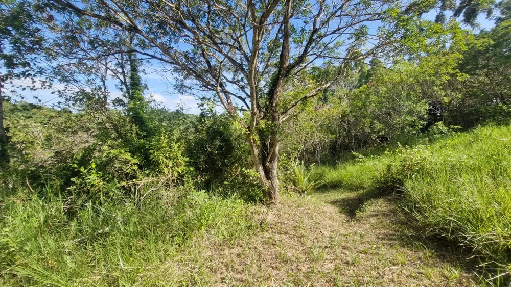 Terreno, 7000 m² - Foto 5