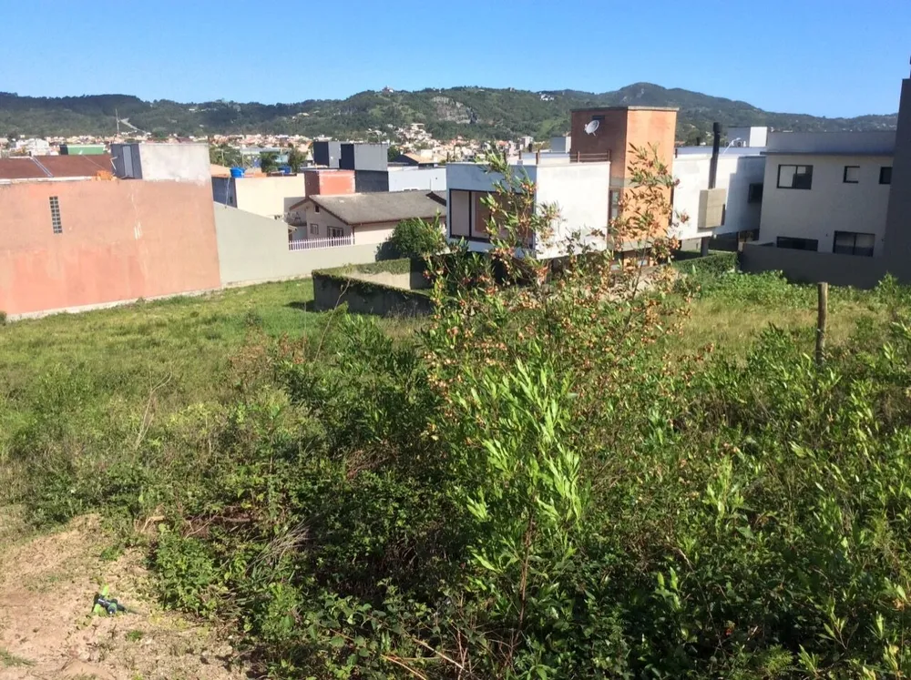 Terreno, 325 m² - Foto 4