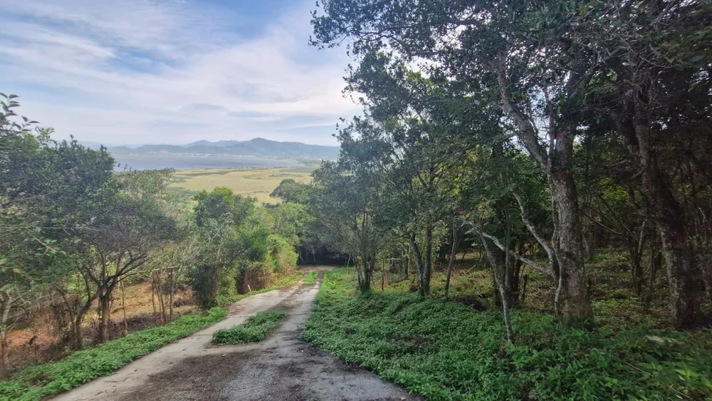 Terreno, 1223 m² - Foto 4