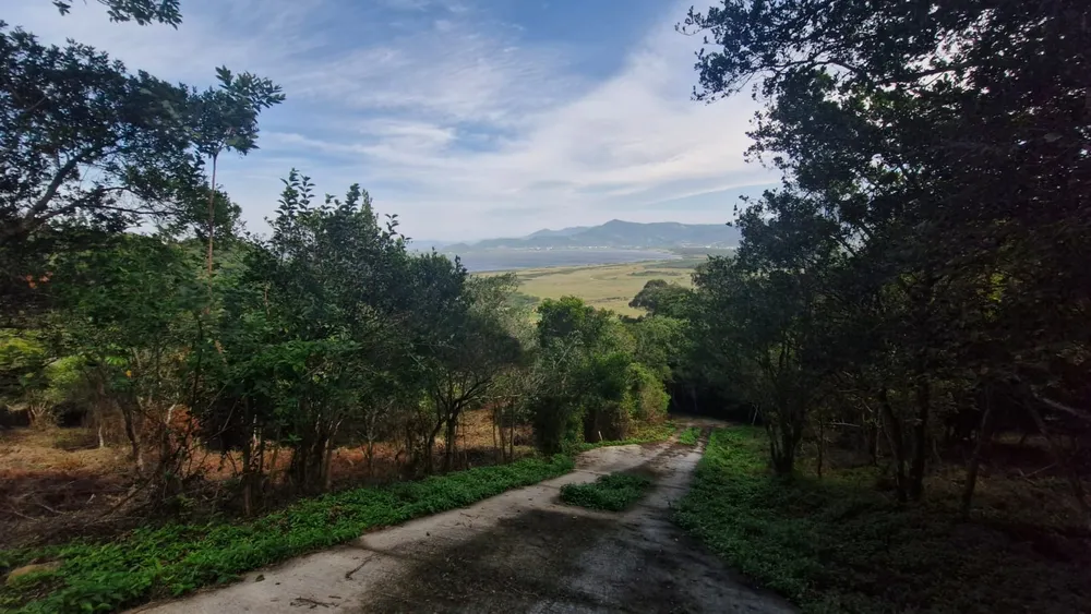 Terreno, 1223 m² - Foto 5