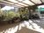 Casa, 2 quartos, 64 m² - Foto 4