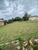 Terreno, 700 m² - Foto 3
