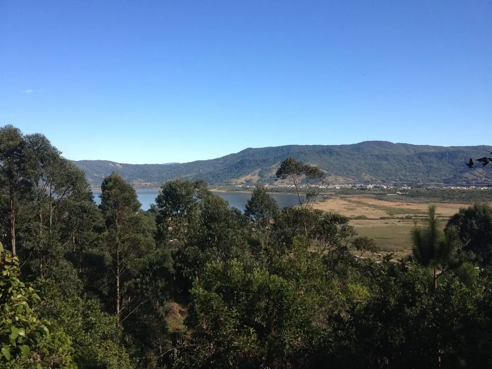 Terreno, 3013 m² - Foto 6