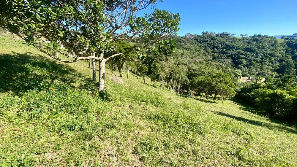 Terreno, 899 m² - Foto 5