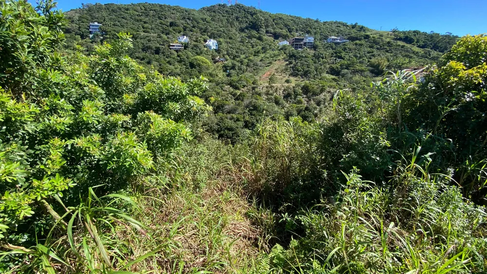 Terreno, 810 m² - Foto 9