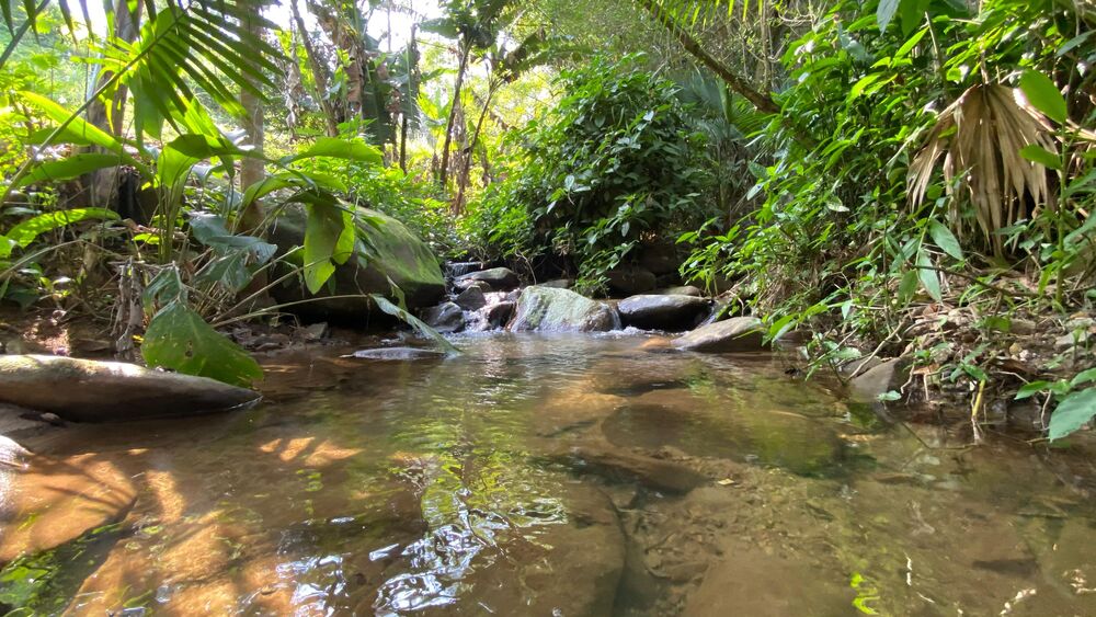 Casa, 3 quartos, 184 m² - Foto 1