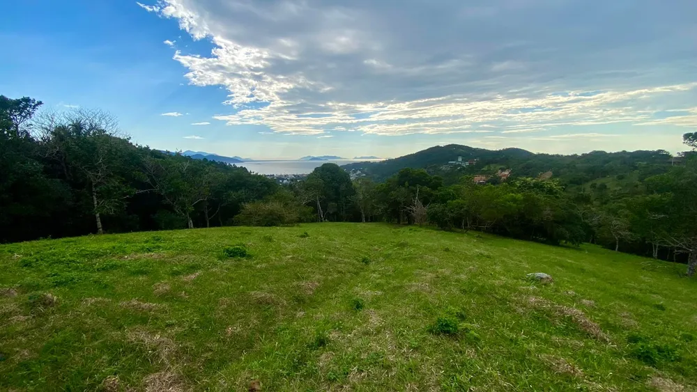 Terreno, 4908 m² - Foto 5