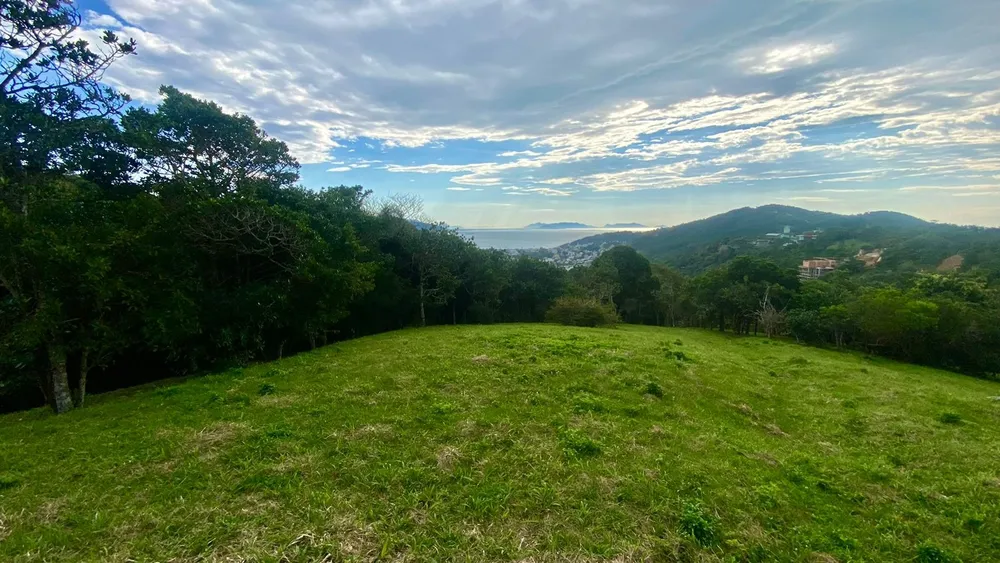 Terreno, 4908 m² - Foto 7