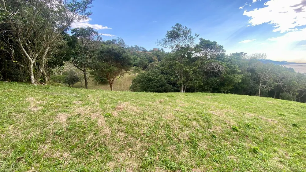 Terreno, 4908 m² - Foto 8