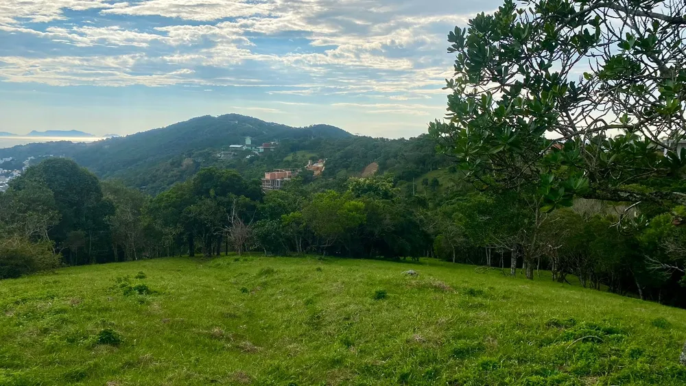 Terreno, 4908 m² - Foto 6