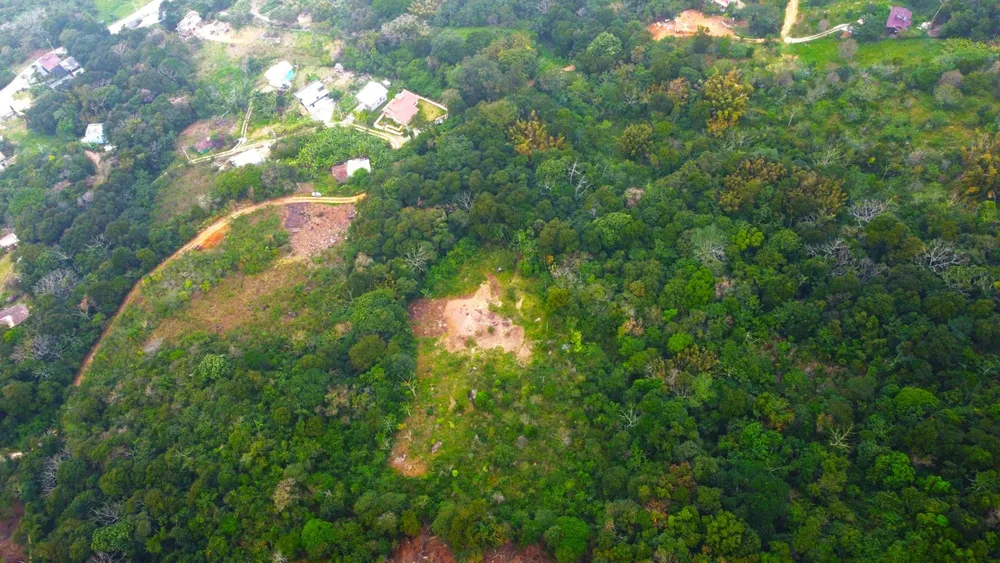 Terreno, 5 hectares - Foto 15