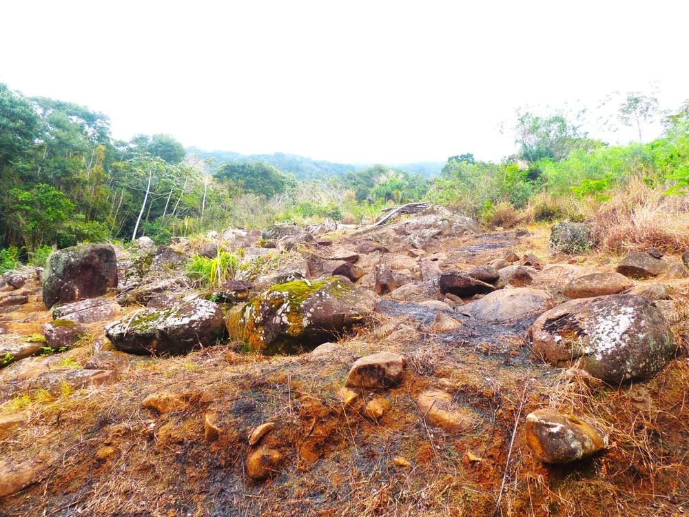 Terreno, 5 hectares - Foto 10